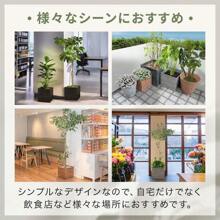 Flower Pots