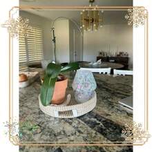 8" Rainbow Glass Mushroom Table Lamp, Battery Powered