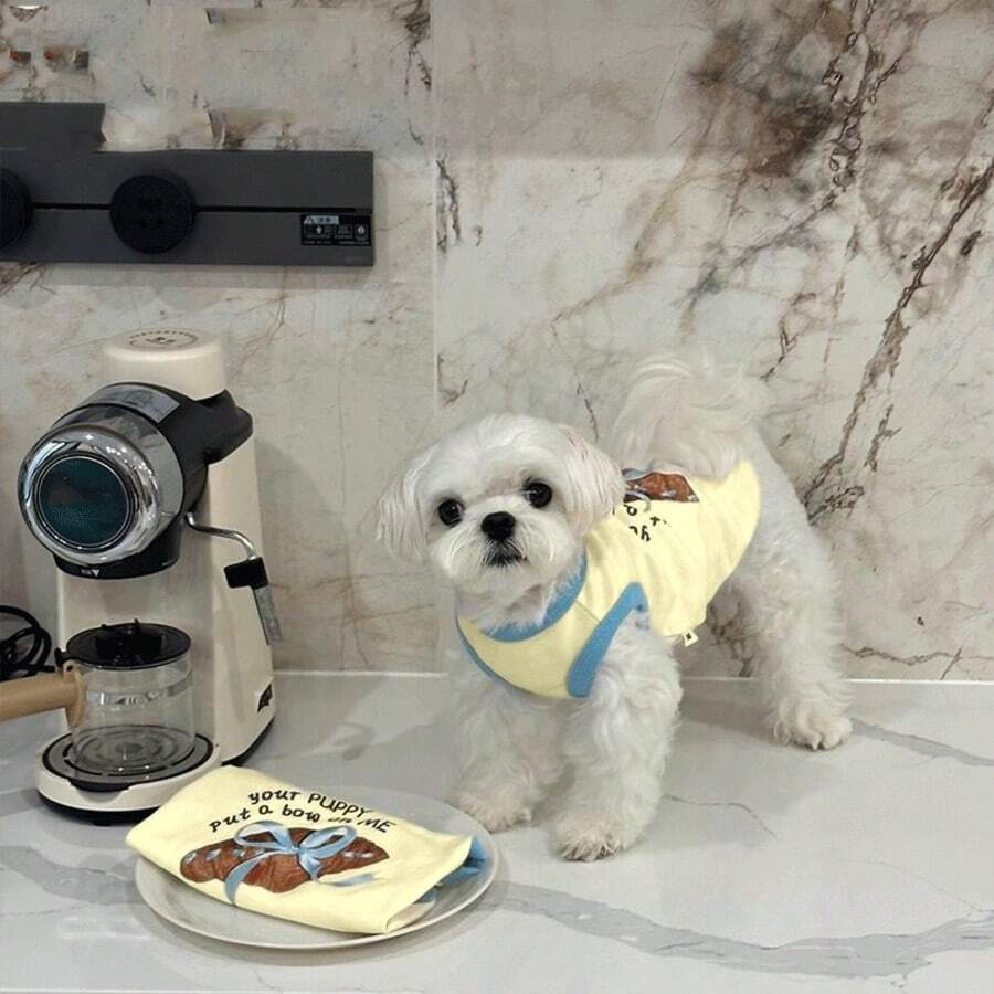 Chaleco con estampado de altavoz para mascotas, ligero para perros pequeños como schnauzer, caniche, panda en primavera y verano - Blanco - Ver 1