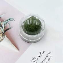 猫玩具：猫薄荷球、猫咬胶、猫自娱玩具、猫逗弄球、龙牙草宠物玩具。 - 彩色 - 查看 15