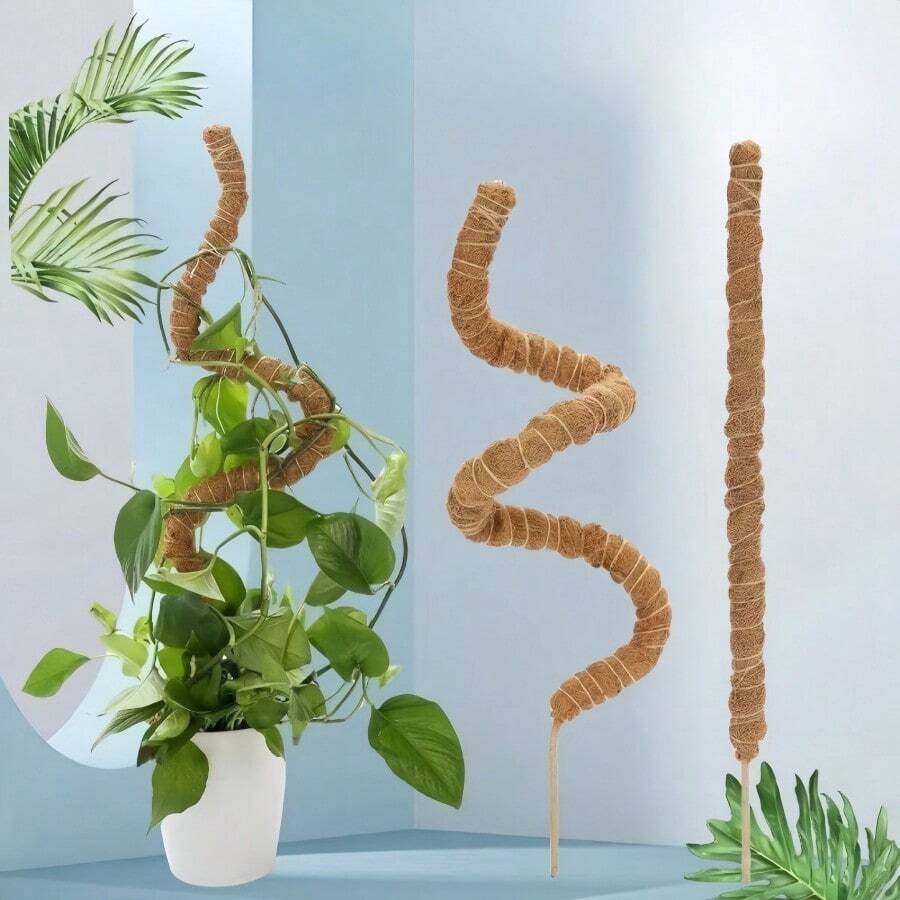 1 pieza Palo flexible de fibra de coco, palo con musgo con forma, soporte para plantas, adecuado para pothos, filodendro