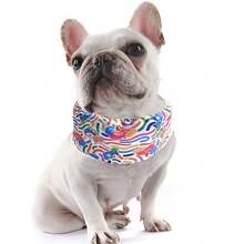 Pet Collars - Rainbow - View 8