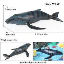 1pc Simulation Marine Animal Model Toy, Blue Whale, Gray Whale, Sperm Whale, Dolphin, Humpback Whale And Other Marine Animals, Fish Tank And Aquarium Decoration, Children's Cognitive Education Toys, Halloween Holiday Gifts - Multicolor - View 3