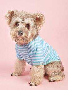 休闲时尚斗牛犬新款中小型宠物狗 T 恤，条纹圆领，春夏季 - 藍白色 - 查看 4