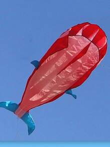 1 pezzo Delfino, balena, orca gonfiabile morbido e senza ossa, con bobina da 50 m e coda, adatto per attività all'aperto. Un regalo perfetto per amici e familiari durante le vacanze.