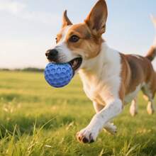 Piłki do tresury zwierząt, interaktywne zabawki wydające dźwięki, gumowe piłki dźwiękowe dla psów, odpowiednie dla małych i średnich psów