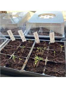 10/20pcs Transparent Plastic Seedling Trays With Drainage Holes - Succulent Plant Transplant Trays, Includes Planting Tools, Propagation Trays, Easy Maintenance, Gardening Accessories, Ideal For Succulent Growers, Reusable Plastic Trays, Suitable For Vegetables, Herbs, Flowers - Space-Saving Seedling Containers - Multicolor - View 5