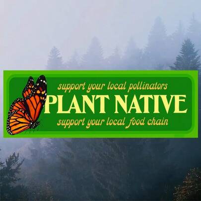 1 Miếng dán xe 7 inch "Trồng cây bản địa, hỗ trợ các loài thụ phấn địa phương", Hình dán bảo tồn bướm vua, Quà tặng cho người làm vườn yêu môi trường, Hình dán vinyl bền, chống thấm nước, có thể tháo rời, dùng được cho mọi bề mặt nhẵn - Kính sau xe hơi, xe tải, máy tính xách tay, máy tính bảng, tủ lạnh, ván trượt, hành lý, xe máy, Hình dán thời trang thực vật thẩm mỹ/Quà tặng cho người làm vườn/Hình dán Ngày Trái đất/Hình dán "Cứu lấy loài ong".