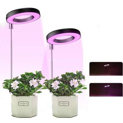 1 件全光谱 LED 植物生长灯，带 3 档定时器、可调节鹅颈管、USB 供电、抛光表面，非常适合幼苗和小型植物，室内植物生长灯