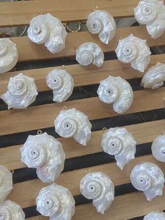 1/3 piezas Nuevo verano Natural Concha de mar 18K Colgante de acero inoxidable dorado, Accesorio de joyería colgante de dije hecho a mano DIY