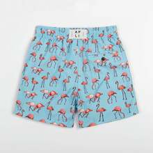 Apres Life Kids Flamingos Swimshorts
