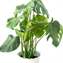 1 Stück Metallschildkrötenschalen-förmiges Pflanzenhalterung, Größe 13*14cm/16*18cm, verschiedene Formen erhältlich, geeignet für Kletterpflanzen wie Schildkrötenbambus, einzigartiges, robustes Design, ideale Stütze für Innen-/Außengartenpflanzen, auch für Topfpflanzen geeignet - Grün - Übersicht 9