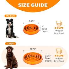 BRSHBE Fun Feeder Slo Bowl, Slow Feeder Dog Bowl, Large/Regular, Turquoise - 橘色 - 查看 5