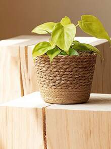 1 chậu trồng cây đan bằng cỏ biển tự nhiên phong cách Bắc Âu mới, chậu cây mây, giỏ hoa trang trí nhà cửa, chậu trồng cây đa năng trong vườn (Kích thước thực tế có thể thay đổi đôi chút) - Nhiều màu - Xem 3