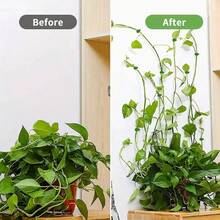 10pcs/30pcs/60pcs Plant Vine Fixation Adhesive Clips, No Drilling Required