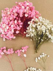 Light Pink + White Green (gypsophila)