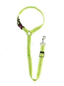 1pc Popular Dog Leash With Elastic Reflective Thread, Pet Supplies For Outdoor Walking/Running - Green - View 8
