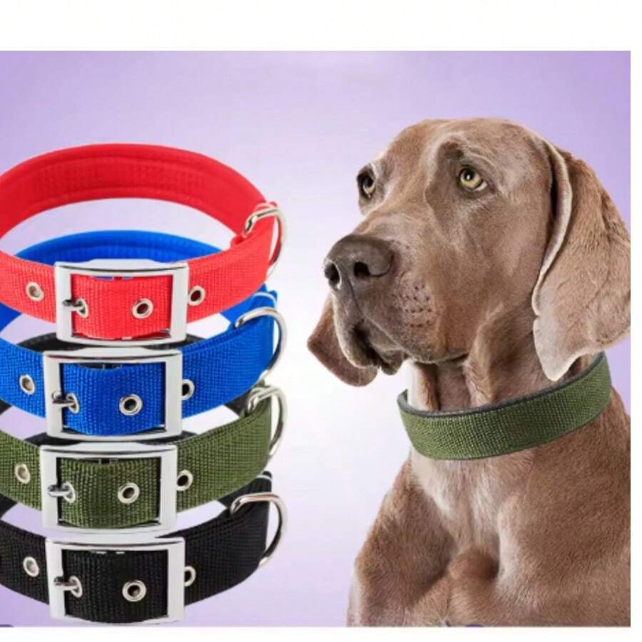 Solid Dog Collars  Nylon Dog Collar For Small Medium Large Dogs Teddy Keji Pitbull Bulldog Beagle - 綠色 - 查看 1