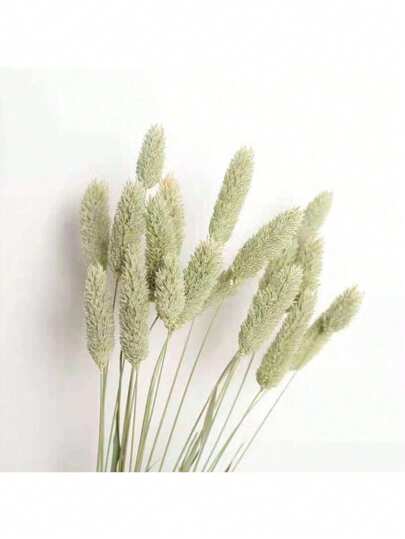 25/50/100pcs Gem Grass Dried Flowers, Assorted Colors, For Home Decor, Vase Decor, DIY Bouquets, Cake Decoration