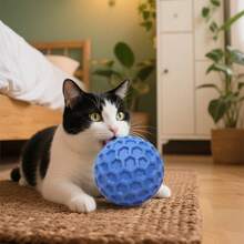 Piłki do tresury zwierząt, interaktywne zabawki wydające dźwięki, gumowe piłki dźwiękowe dla psów, odpowiednie dla małych i średnich psów