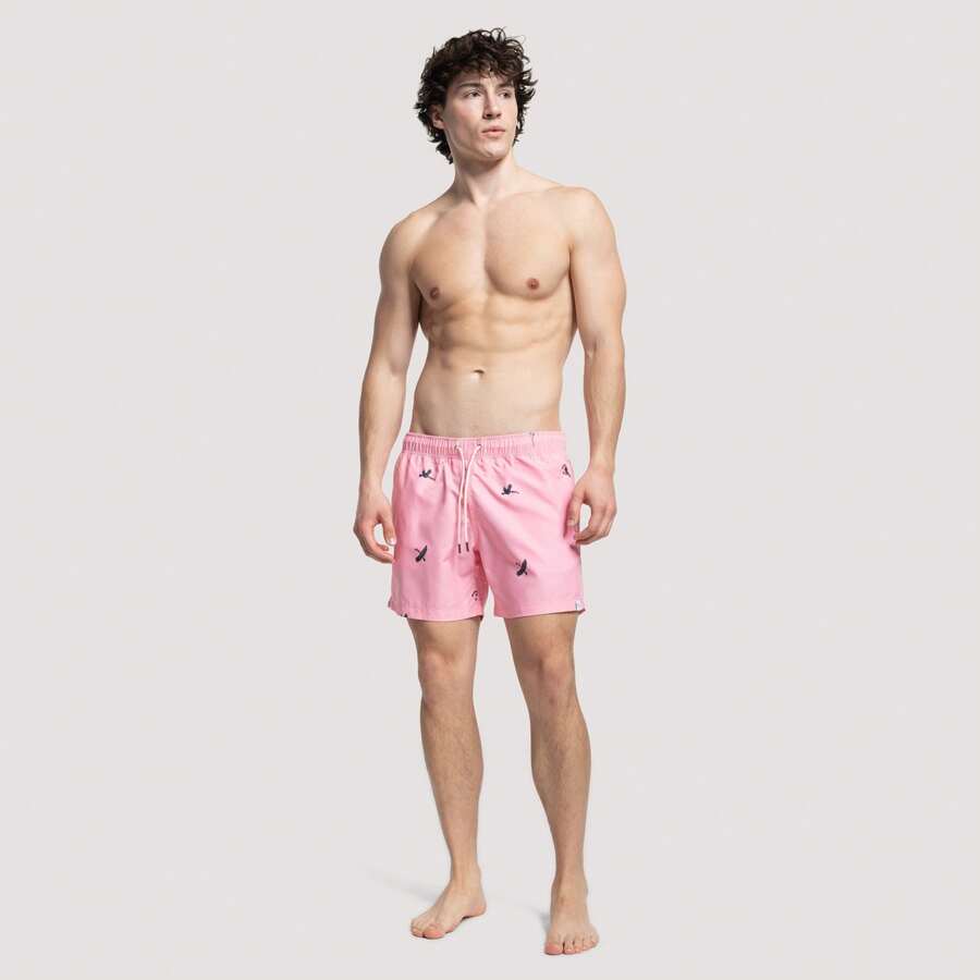 Apres Life Desert Pink Sky Swimshorts