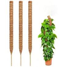 1 pieza Palo flexible de fibra de coco, palo con musgo con forma, soporte para plantas, adecuado para pothos, filodendro