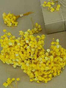 الأصفر (نفس الطفل)