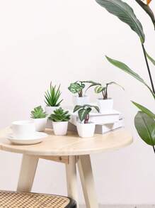 1/3 Stücke 3-5 Zoll (H) Mini Sukkulenten Topfpflanzen für Zuhause, Schlafzimmer, Wohnzimmer, Hochzeit, Geburtstag, Abschluss, Party und Tischdekoration