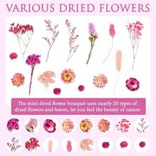 QY Real Dried Flowers Combo Pink Natural Dried Pressed Flowers For Crafts Hydrangeas Daisies Limonium Mini Dried Flowers With Stems For DIY Art Candles Resin Jewelry Pendant Crafts Making 8434 - 粉色 - 查看 2