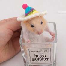 手工编织宠物帽，迷你宠物帽，可爱动物帽，包括考拉、青蛙、编织、仓鼠、鸟