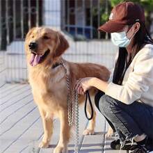 狗绳，重型不锈钢狗绳，双扣，反光乙烯基涂层，坚固的设计，适合体重不超过 250 磅的大型犬，宠物训练和露营绳 - 彩色 - 查看 10