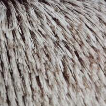 1 pieza Cama redonda acolchada para mascotas, Cama de gato esponjosa y suave, Cojín en forma de rosquilla para mascotas, Cama de gato 2 en 1 para invierno, Cojín de saco de dormir cálido para sofá - Gris - Ver 3