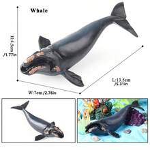 1pc Simulation Marine Animal Model Toy, Blue Whale, Gray Whale, Sperm Whale, Dolphin, Humpback Whale And Other Marine Animals, Fish Tank And Aquarium Decoration, Children's Cognitive Education Toys, Halloween Holiday Gifts - Multicolor - View 13
