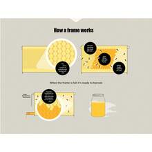 Auto Flowing Bee Hive 3 Layers Auto Bee Hive Extra Brood Box + Super Box 7x Bee Frames Beekeeping Hive - 原木色 - 查看 5
