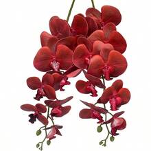 QY Artificial Phalaenopsis Flowers Branches 9 Large Blooms Artificial Orchid Flowers Stem Plants 42 Inches 2 Pcs For Home Wedding Decor Red  8434 - 紅色 - 查看 5