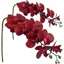 QY Artificial Phalaenopsis Flowers Branches 9 Large Blooms Artificial Orchid Flowers Stem Plants 42 Inches 2 Pcs For Home Wedding Decor Red  8434 - 紅色 - 查看 1