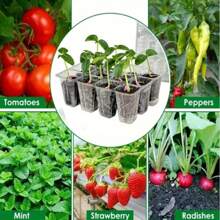 10 个装透明聚对苯二甲酸乙二醇酯育苗托盘，带排水孔 - 可重复使用的 12 孔种植容器，适用于蔬菜、花卉、香草 - 无需电力 - 彩色 - 查看 7