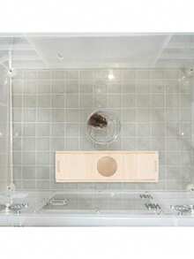 1pc Wooden Hamster, Gerbil, Golden Hamster Toy House, Hideout Tunnel, Climbing Game House, Suitable For Small Animal Villa Stairs - Multicolor - View 5