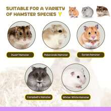 1pc Wooden Hamster, Gerbil, Golden Hamster Toy House, Hideout Tunnel, Climbing Game House, Suitable For Small Animal Villa Stairs - Multicolor - View 10