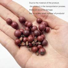 طقم للصيد بالخارج يشمل: عقدة الفراشة خشبي مرن، رأس سهم من الفولاذ المقاوم للصدأ، أجهزة لعبة للأولاد، سلاح للصيد والرماية بالخارج، سلاح مدى الصيد، قذيفة فولاذية قوية للاستخدام الترفيهي للكبار، خاصة لصيد الطيور