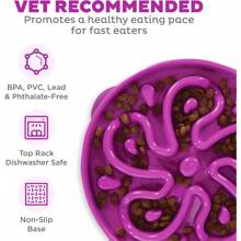 BRSHBE Fun Feeder Slo Bowl, Slow Feeder Dog Bowl, Large/Regular, Turquoise