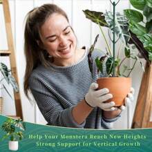 5 Pack Stackable Plant Support Stakes, 38inch Climbing Plant Sticks Structures For Monstera With Garden Ties, Durable Alternative To Moss Pole For Indoor Outdoor Plants