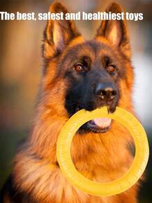 1pc Anti-Slip Pulling Ring Pet Dog Training Toy, Chew-Resistant EVA Floating Dog Toy For Pool, Summer