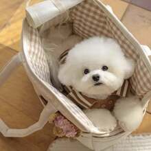 1pc Foldable Soft Pet Backpack Carrier, Suitable For Small Dogs, Rabbits, Cats, Travel Bag - White - View 2