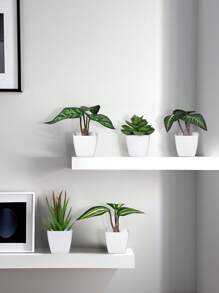 1/3 Stücke 3-5 Zoll (H) Mini Sukkulenten Topfpflanzen für Zuhause, Schlafzimmer, Wohnzimmer, Hochzeit, Geburtstag, Abschluss, Party und Tischdekoration