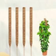 1 pieza Palo flexible de fibra de coco, palo con musgo con forma, soporte para plantas, adecuado para pothos, filodendro
