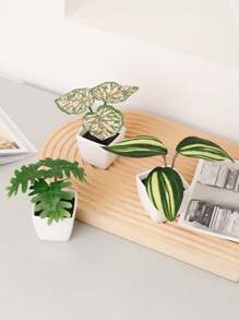 1/3 Stücke 3-5 Zoll (H) Mini Sukkulenten Topfpflanzen für Zuhause, Schlafzimmer, Wohnzimmer, Hochzeit, Geburtstag, Abschluss, Party und Tischdekoration