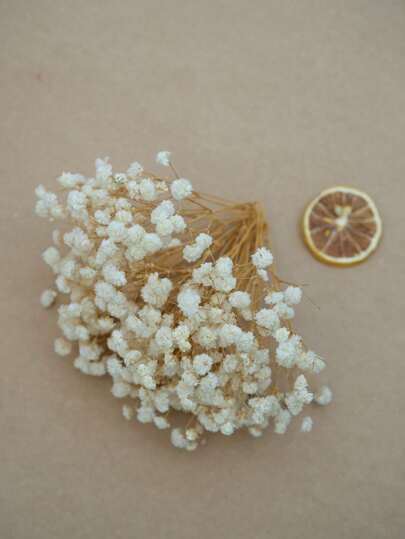 25/50/100/300 قطعة من أزهار نفس الطفل الصغيرة وأزهار مجففة أخرى - للفن والحرف باستخدام قالب الراتنج، باقات الأزهر البيضاء العاجية للاكسسوارات الشعرية، إكليل الزفاف، إناء الطاولة، ديكور المنزل