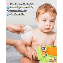 6 Packs Of Wet Wipes With 100 Sheets - Pic Nic Super Promotion Wet Wipes