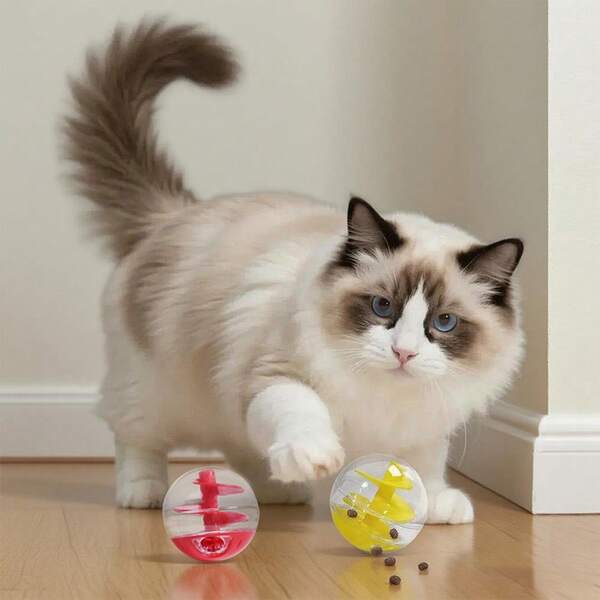 قطعة واحدة من لعبة تغذية الحيوانات الأليفة ذات الشكل الكروي البلاستيكي الأحمر، لعبة I للقطط